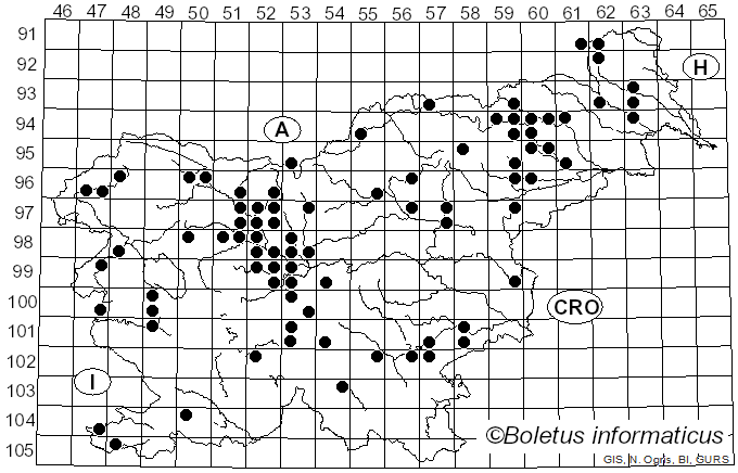 <i>Flammulina velutipes</i> (Curtis) Singer (1951)