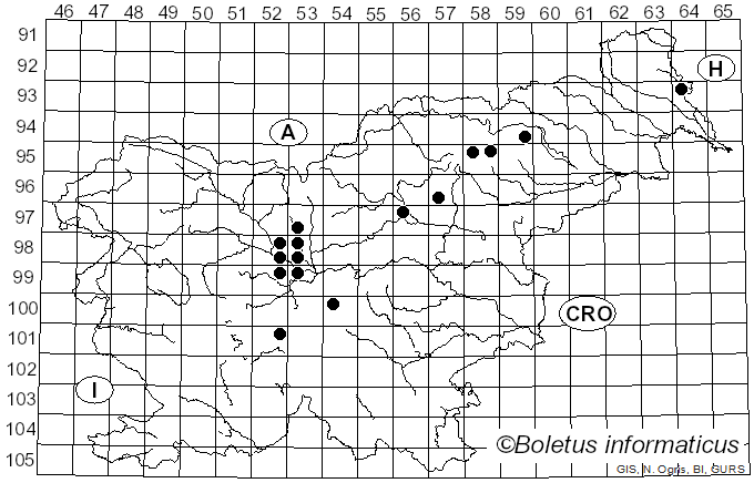 <i>Mitrula paludosa</i> Fr. (1821)