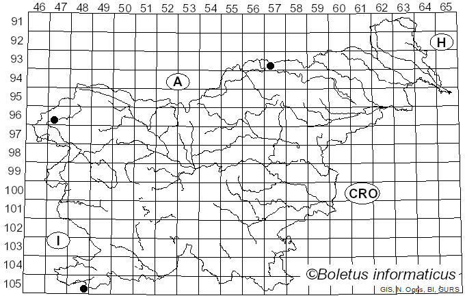 <i>Cortinarius subferrugineus</i> (Batsch) Fr. (1838)