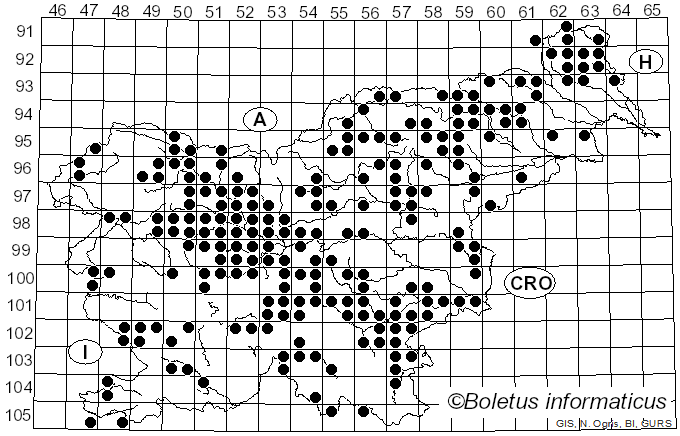 <i>Tricholoma saponaceum</i> (Fr.) P. Kumm. (1871)