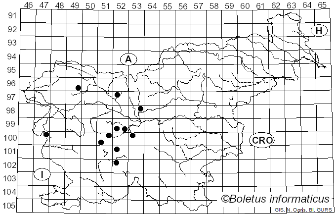 <i>Sphaerophoria taeniata</i> Meigen