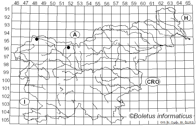 <i>Nodulosphaeria cirsii</i> (P. Karst.) L. Holm (1957)