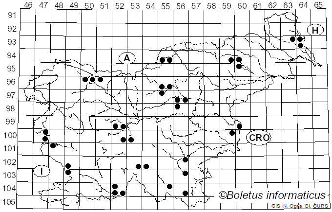 <i>Drosophila suzukii</i> Matsumura
