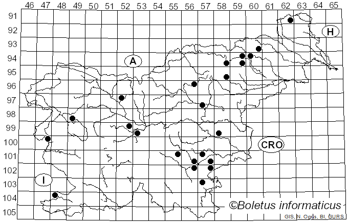<i>Cortinarius privignoides</i> Rob. Henry (1985)
