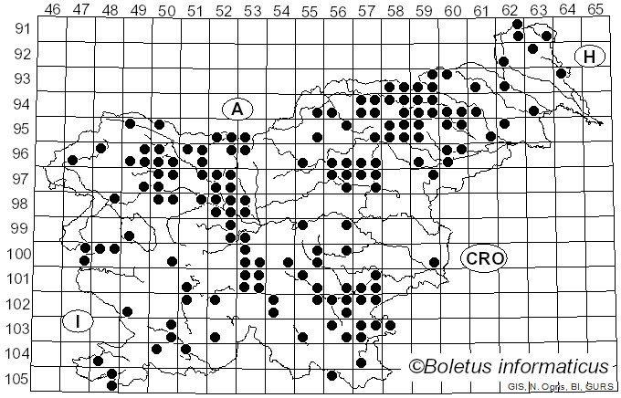 <i>Fuligo septica</i> (L.) F.H. Wigg. (1780)