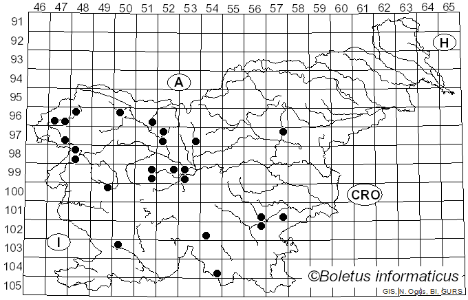 <i>Phellinopsis conchata</i> (Pers.) Y.C. Dai (2010)