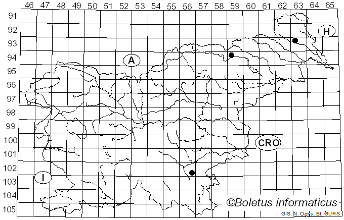 <i>Cortinarius latobalteatus</i> (Jul. Schäff.) M.M. Moser (1967)