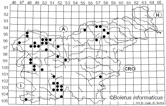 <i>Xanthoria parietina</i> (L.) Beltr. (1858)