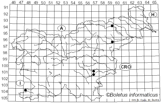 <i>Cortinarius fulgens</i> (Alb. & Schwein.) Fr. (1838)