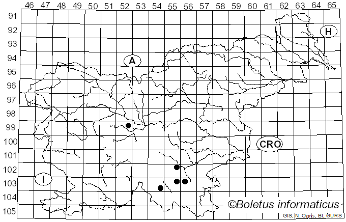 <i>Hyphodontia spathulata</i> (Schrad.) Parmasto (1968)