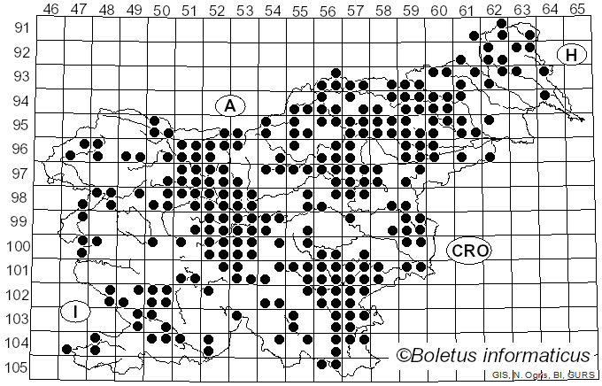 <i>Paxillus</i> Fr. (1836)