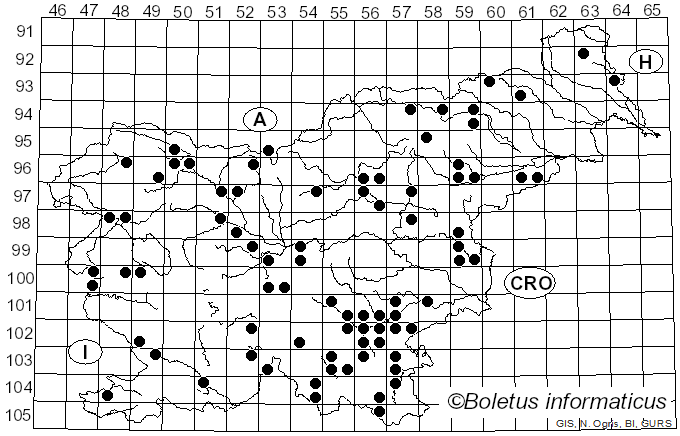 <i>Marasmius cohaerens</i> (Alb. & Schwein.) Cooke & Quél. (1878)