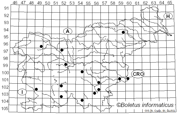 <i>Limacella delicata</i> (Fr.) Earle ex Konrad & Maubl. (1930)