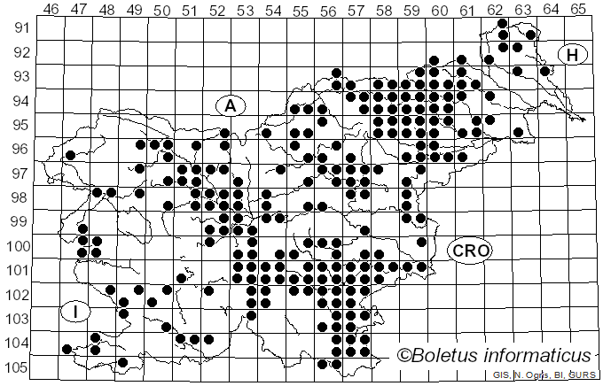 <i>Russula heterophylla</i> (Fr.) Fr. (1838)
