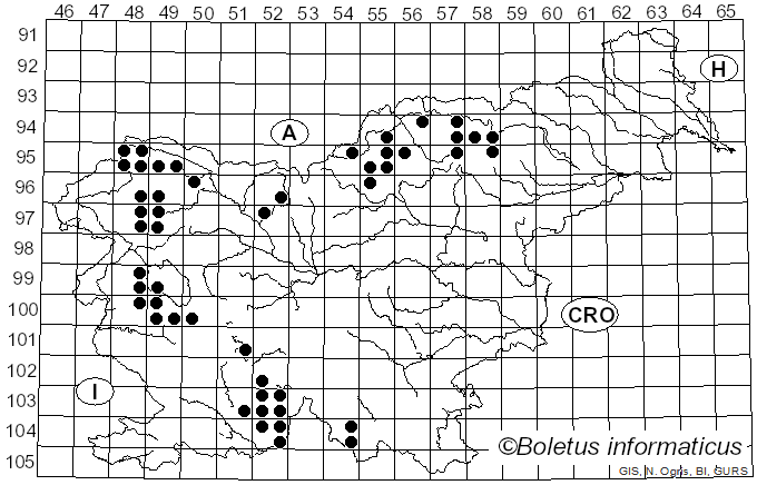 <i>Scoliciosporum</i> A. Massal. (1852)
