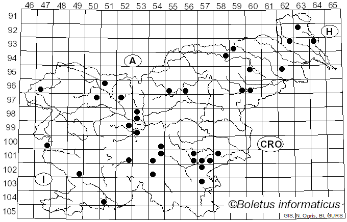 <i>Thelephora anthocephala</i> (Bull.) Fr. (1936)