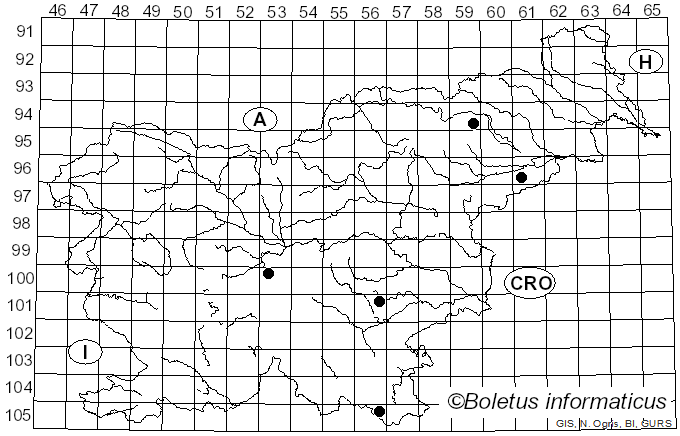 <i>Paraxerula</i> R.H. Petersen (2010)