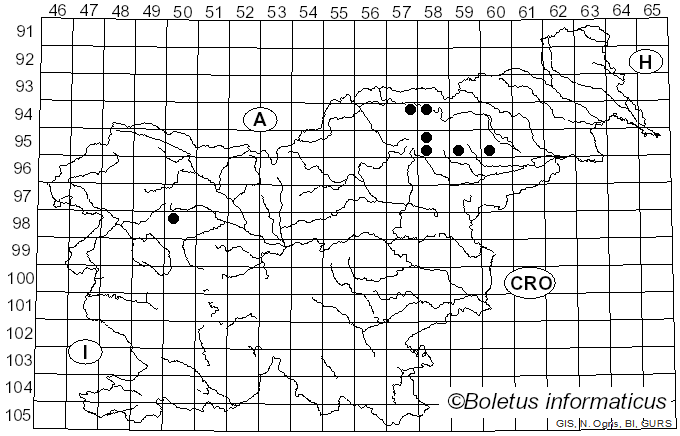 <i>Tylopilus porphyrosporus</i> (Fr. & Hök) A.H. Sm. & Thiers (1971)