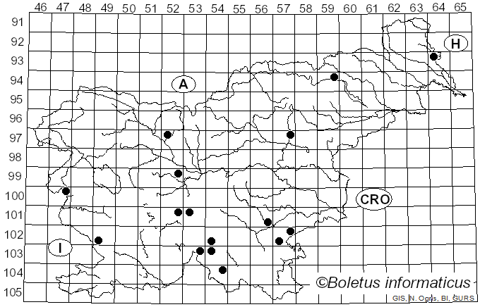 <i>Calonarius aureofulvus</i> (M.M. Moser) Niskanen & Liimat. (2022)