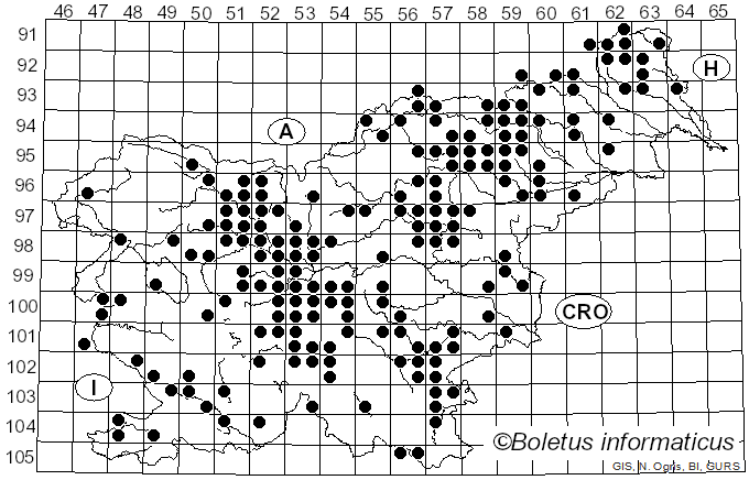 <i>Suillus luteus</i> (L.) Gray (1821)