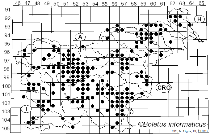 <i>Lepista glaucocana</i> (Bres.) Singer (1951)