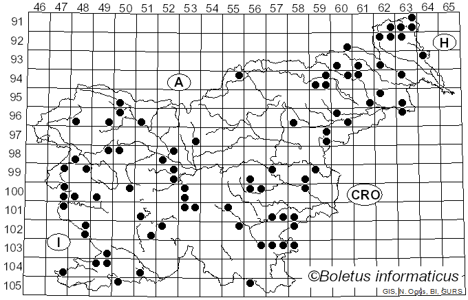 <i>Biscogniauxia</i> Kuntze (1891)