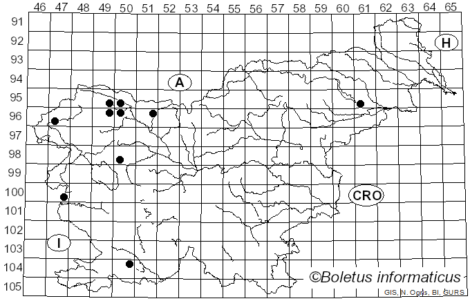<i>Lachnum virgineum</i> (Batsch) P. Karst. (1871)