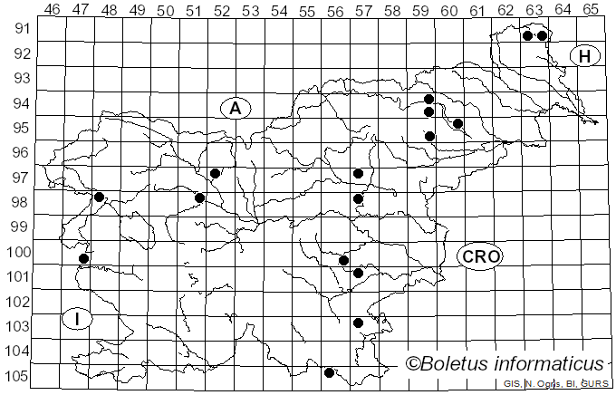<i>Psathyrella pertinax</i> (Fr.) Örstadius (2007)