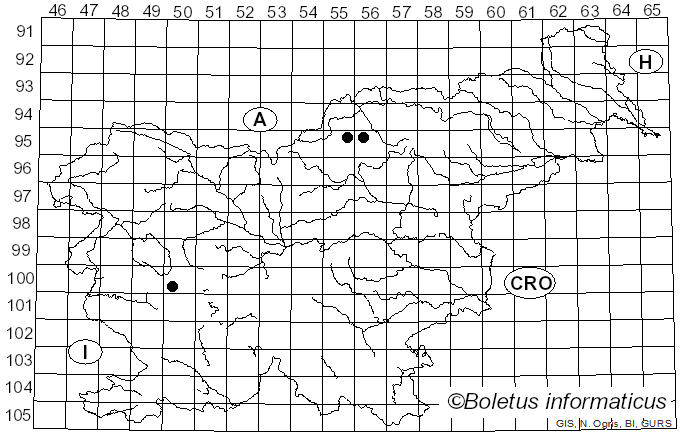 <i>Anthracothecium</i> Hampe ex A. Massal. (1860)
