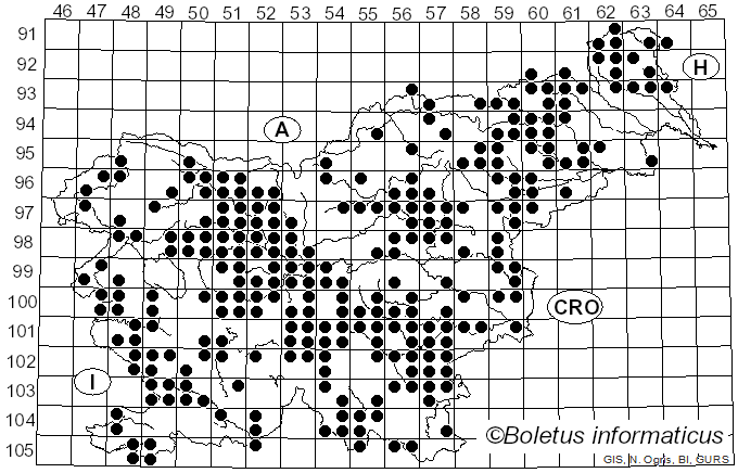 <i>Amanita phalloides</i> Fr.