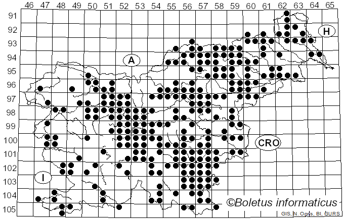 <i>Russula virescens</i> (Schaeff.) Fr. (1836)