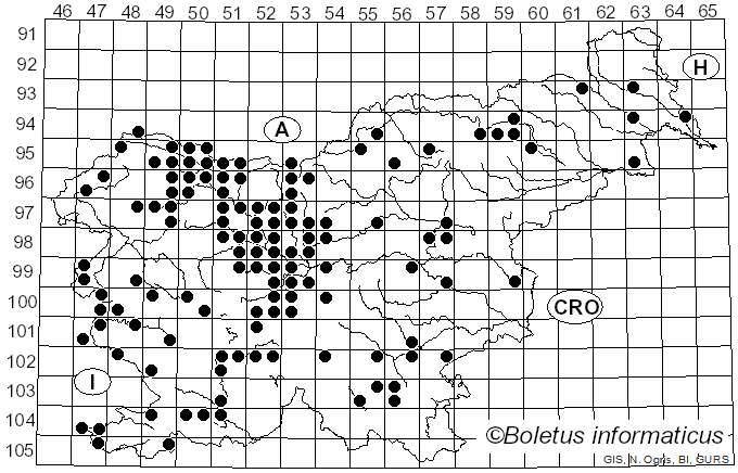 <i>Puccinia</i> Pers. (1794)
