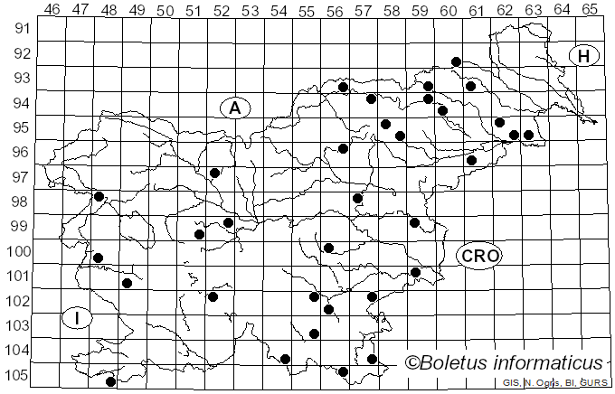<i>Trametopsis cervina</i> (Schwein.) Tomšovský (2008)