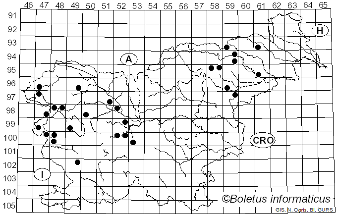 <i>Phlegmacium</i> (Fr.) Wünsche (1877)