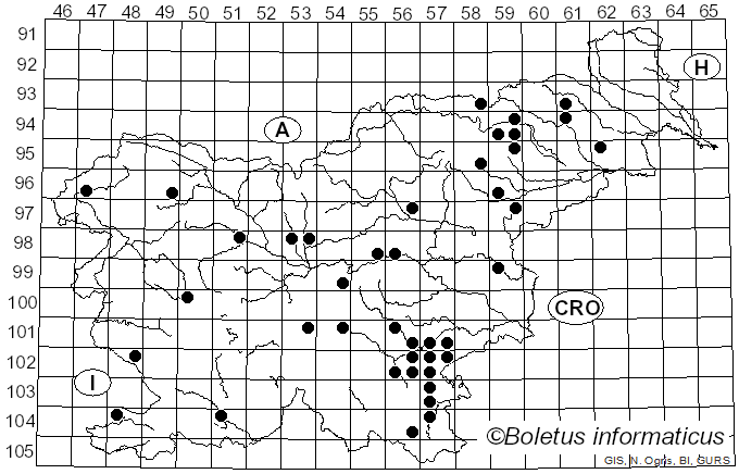 <i>Lepista densifolia</i> (J. Favre) Singer & Clémençon (1973)