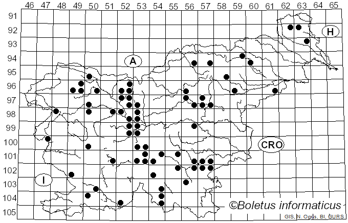 <i>Pluteus atromarginatus</i> (Konrad) Kühner (1935)