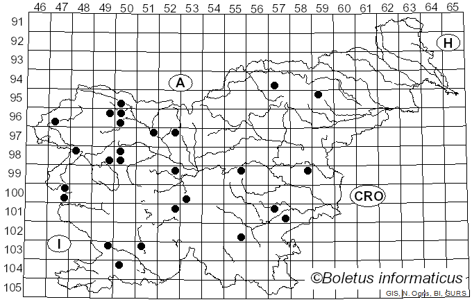 <i>Mollisia cinerea</i> (Batsch) P. Karst. (1871)