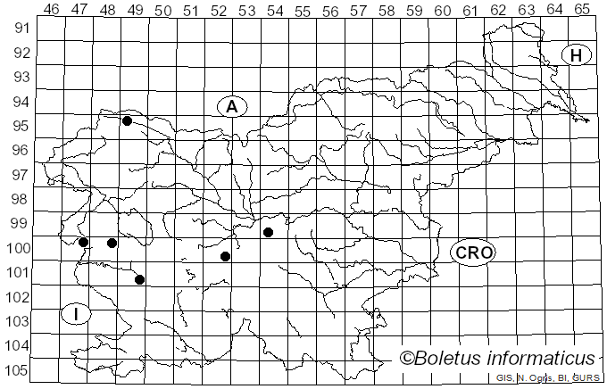 <i>Coniothyrium</i> Corda (1840)