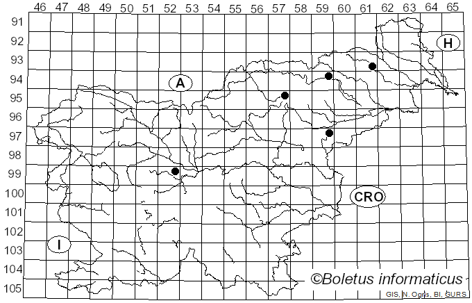 <i>Pulvinula convexella</i> (P. Karst.) Pfister (1976)