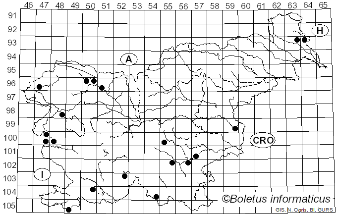 <i>Flammulaster</i> Earle (1909)