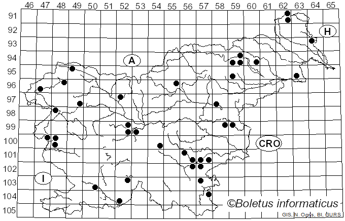 <i>Scleroderma bovista</i> Fr. (1829)