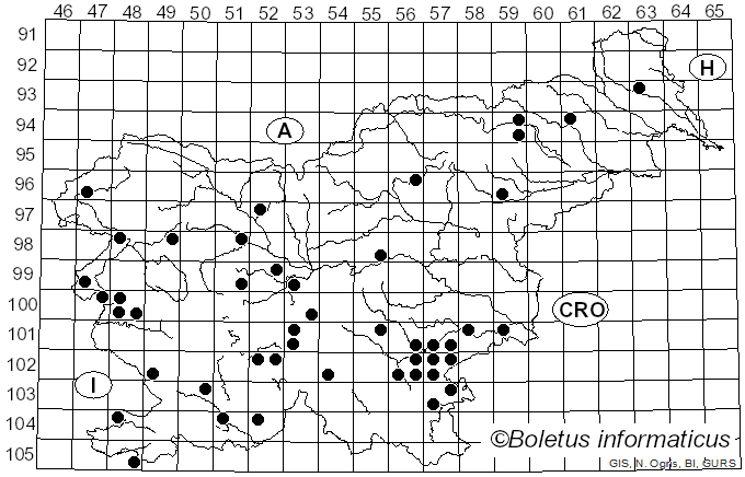 <i>Calonarius rufo-olivaceus</i> (Pers.) Niskanen & Liimat. (2022)