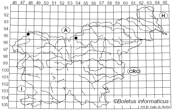<i>Laricifomes</i> Kotl. & Pouzar (1957)