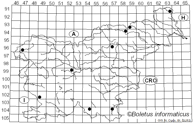 <i>Callistosporium luteo-olivaceum</i> (Berk. & M.A. Curtis) Singer (1946)