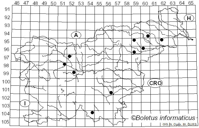 <i>Russula odorata</i> Romagn. (1950)