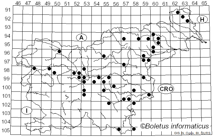 <i>Stemonitis fusca</i> Roth (1787)