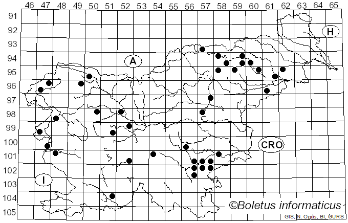 <i>Agrocybe pediades</i> (Fr.) Fayod (1889)
