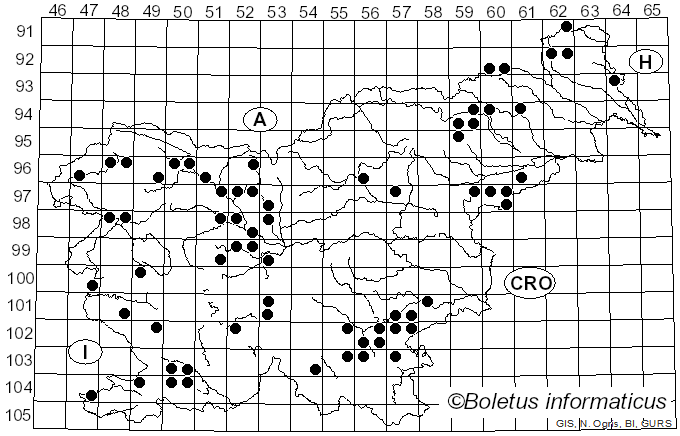<i>Phlebia</i> Fr. (1821)