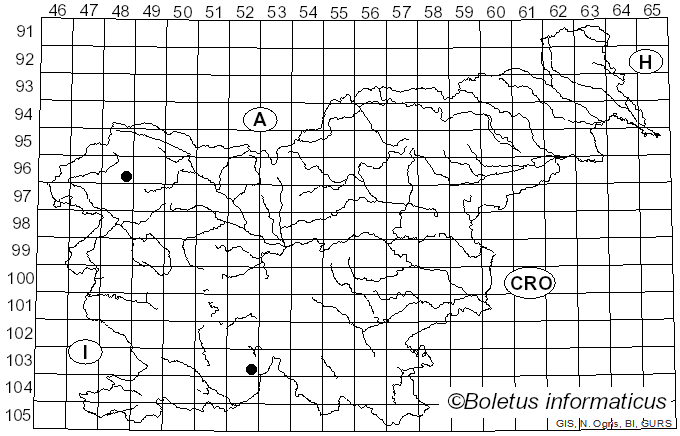 <i>Biatora tetramera</i> (De Not.) Coppins (1992)