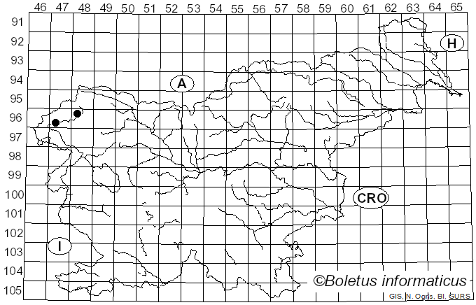 <i>Entoloma atrocoeruleum</i> Noordel. (1987)